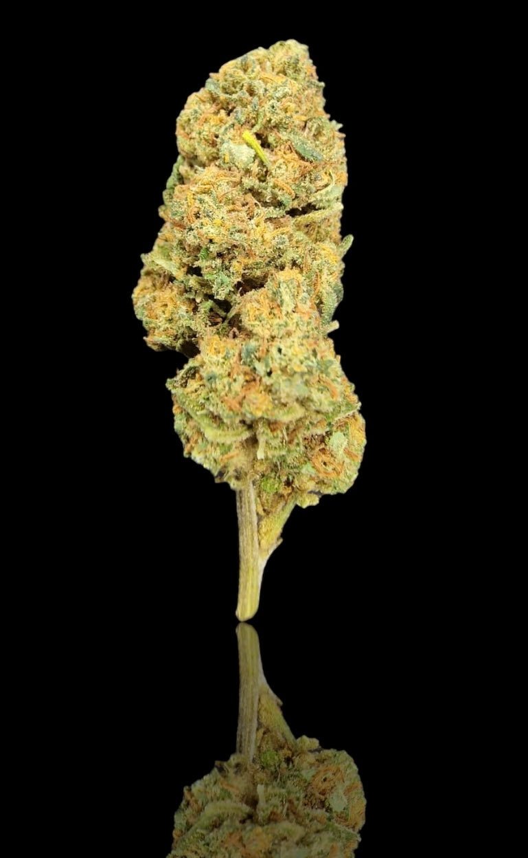 BUBBA KUSH G.HOUSE