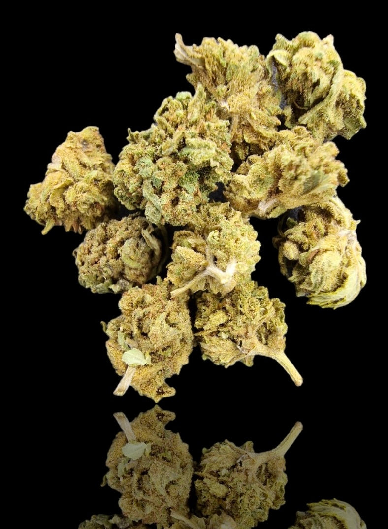 CIMETTE ZKITTLEZ