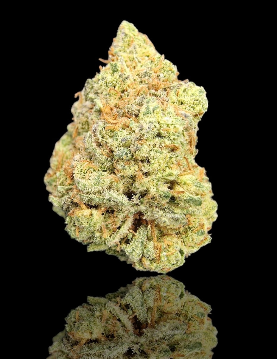 Critical IDROPONICA