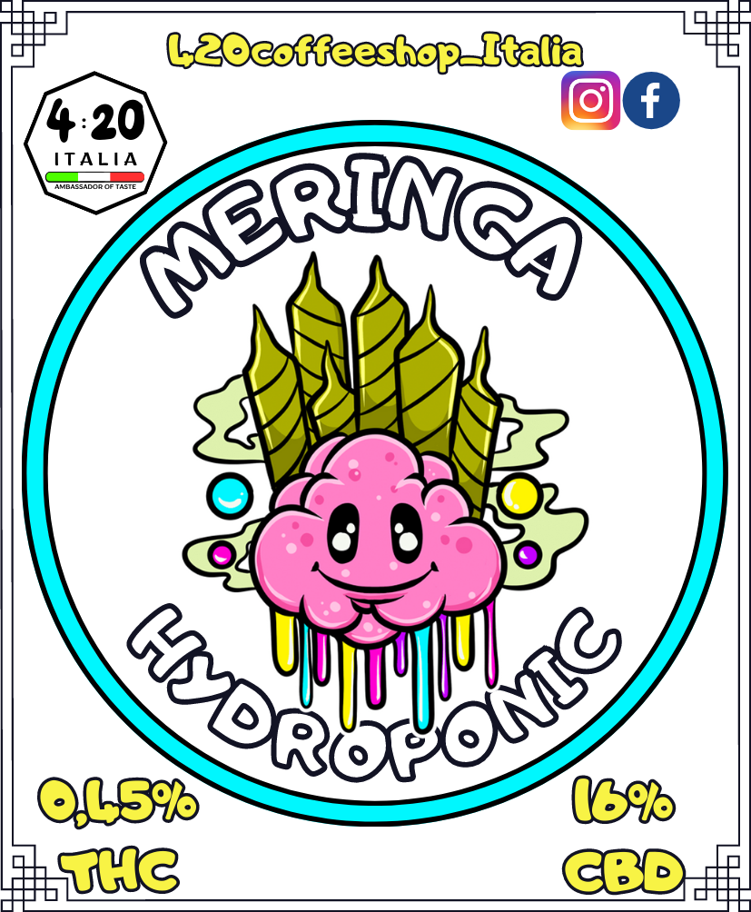 Meringa Hydroponic