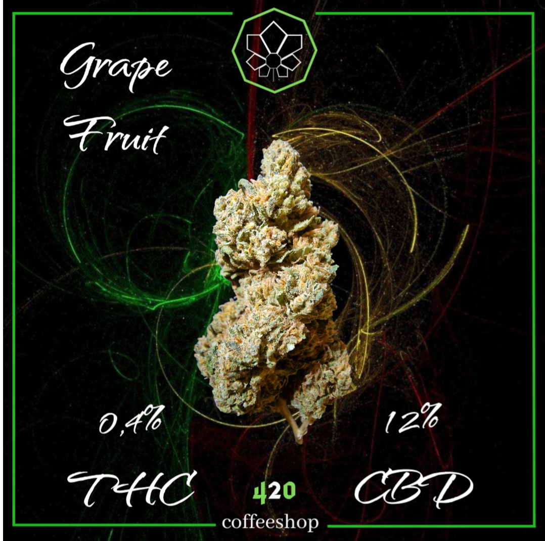 Purple Grape Fruit G.house