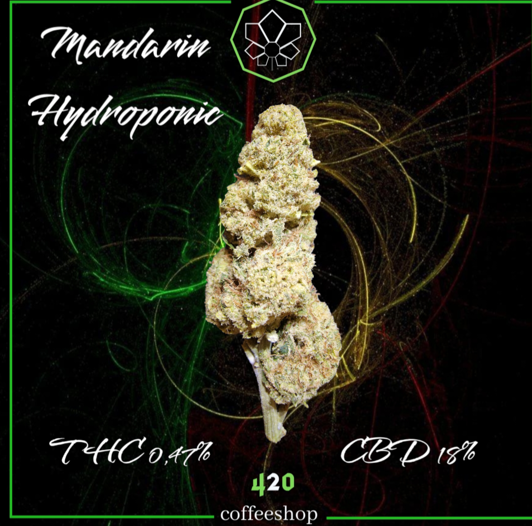 Mandarin Hydroponic