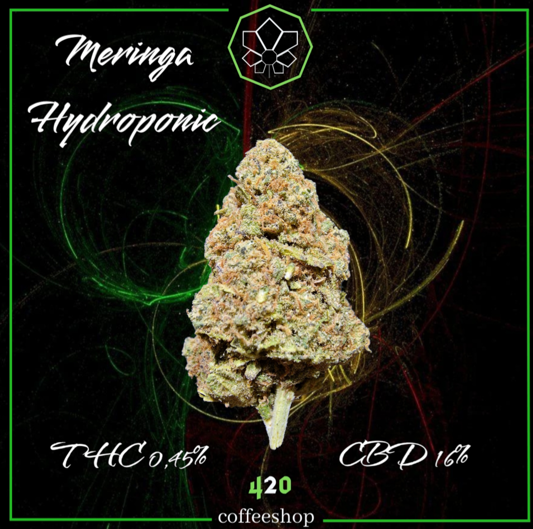 Meringa Hydroponic