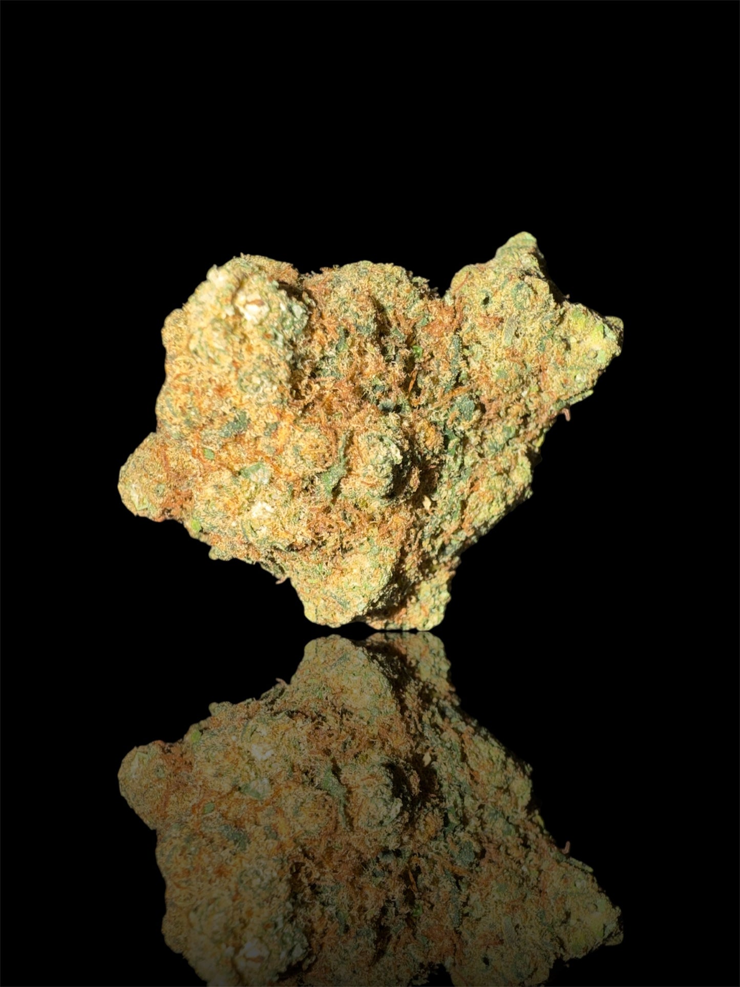 ORANGE SHERBET