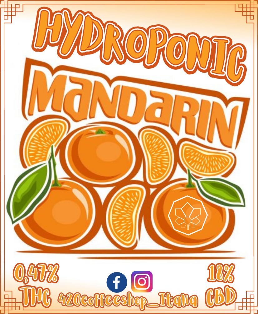 Mandarin Hydroponic