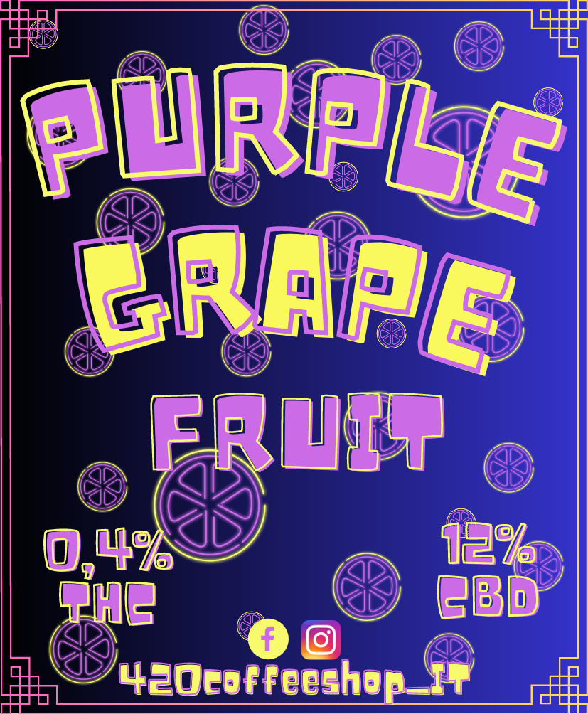 Purple Grape Fruit G.house