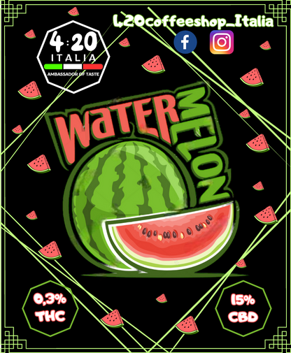 Watermelon G.house