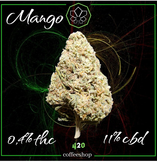 Mango